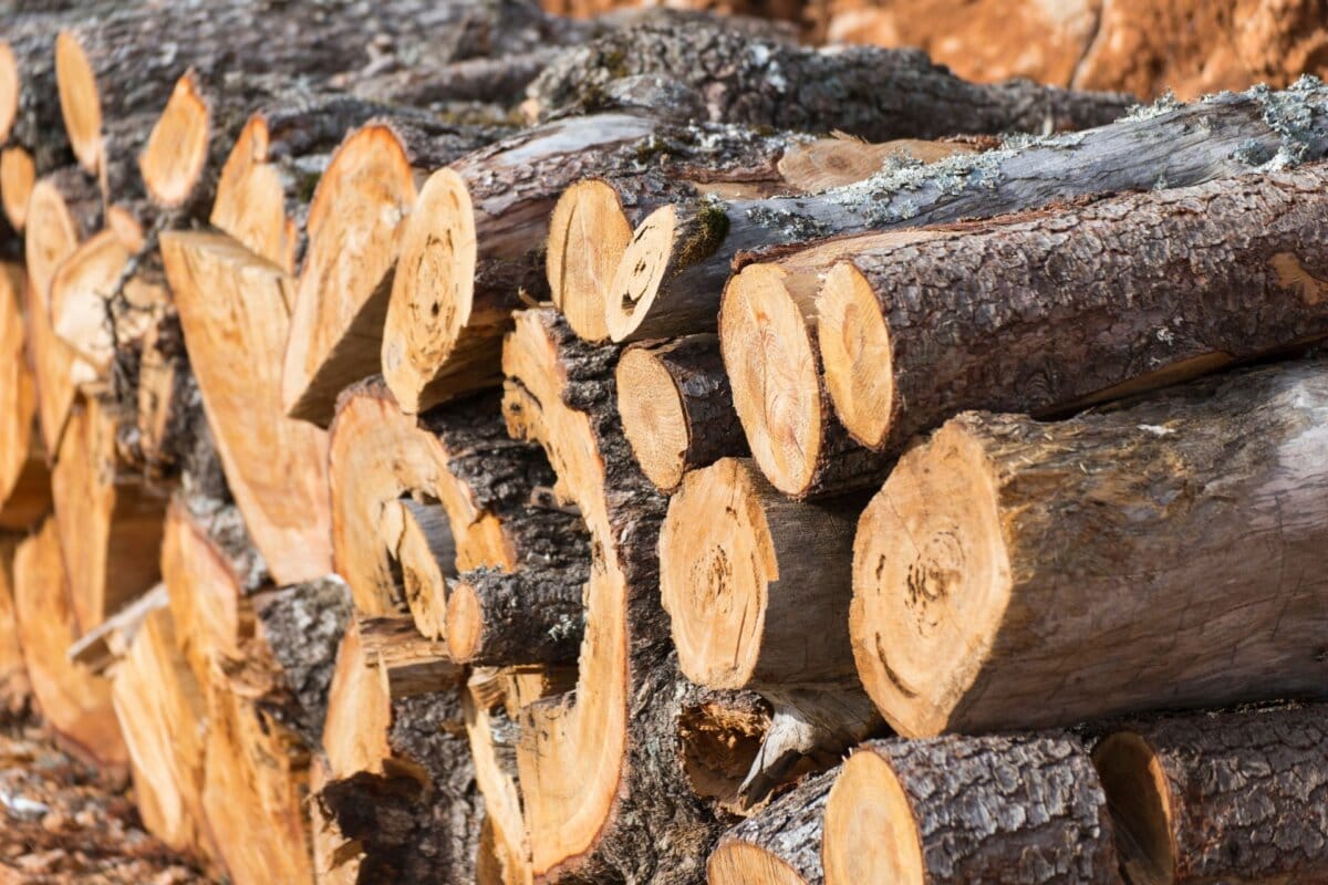 Firewood FOR SALES